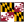 Maryland